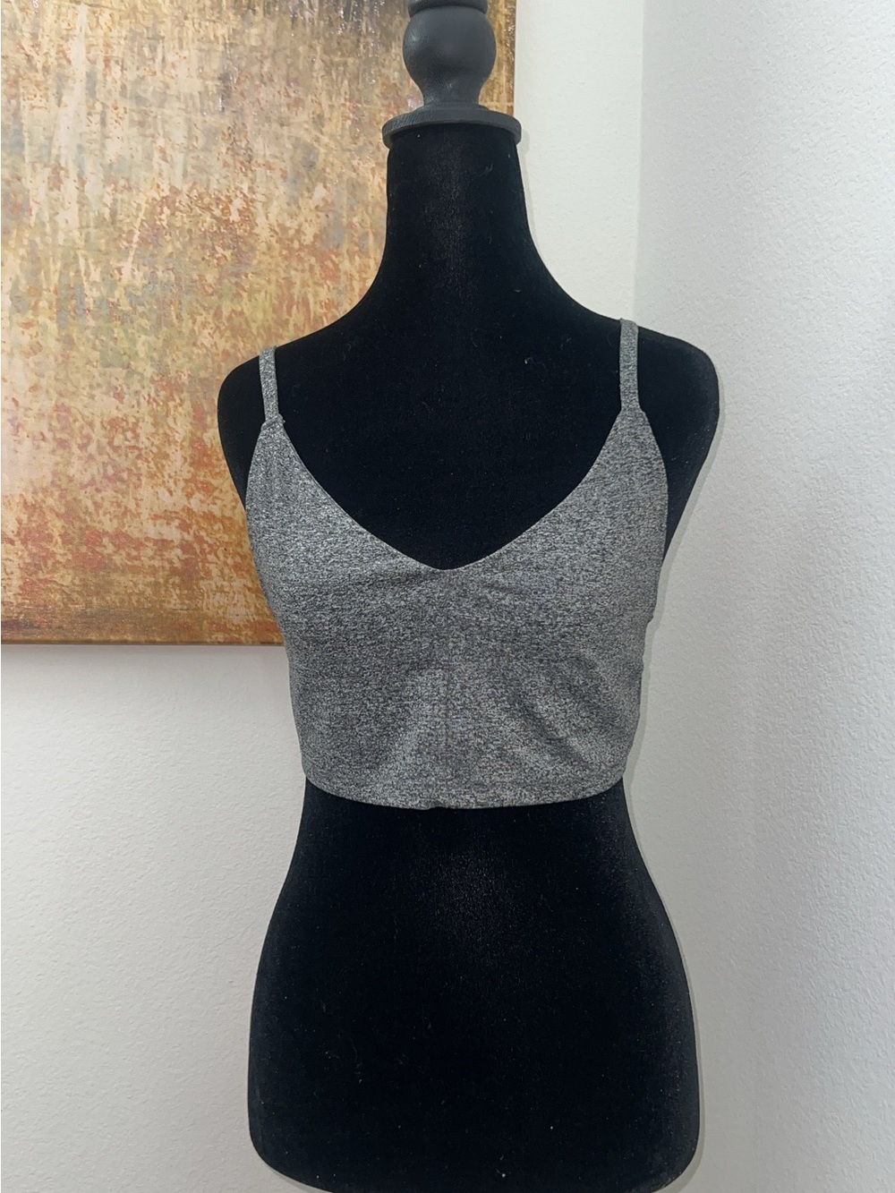 H&M Gray V-Neck Cropped Bralette